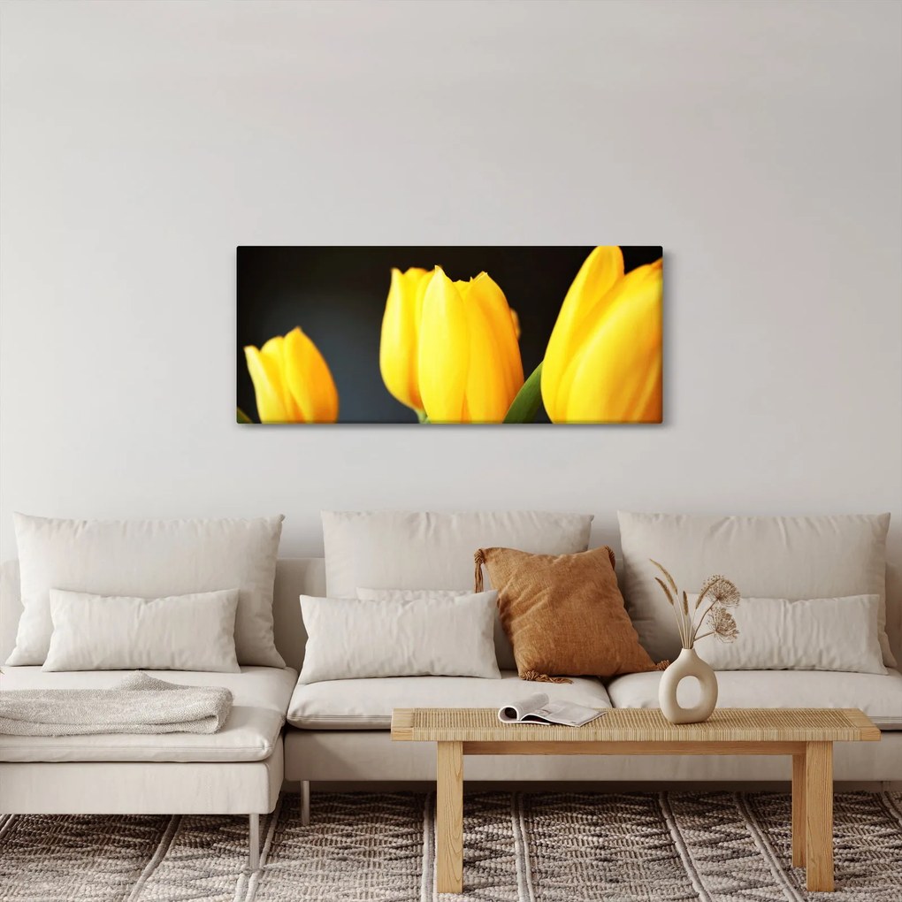 Tablou cu lalele (120x50 cm)
