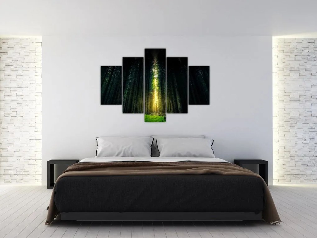 Tablou cu pădurea întunecată (150x105 cm)
