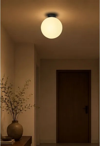 BRILAGI - Plafonieră POLOS 1xE27/40W/230V Ø 30 cm neagră