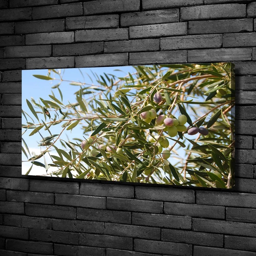 Tablou pe pânză canvas Oliv