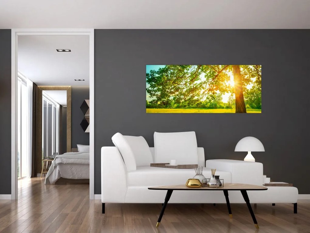 Tablou - Pădurea însorită (120x50 cm)