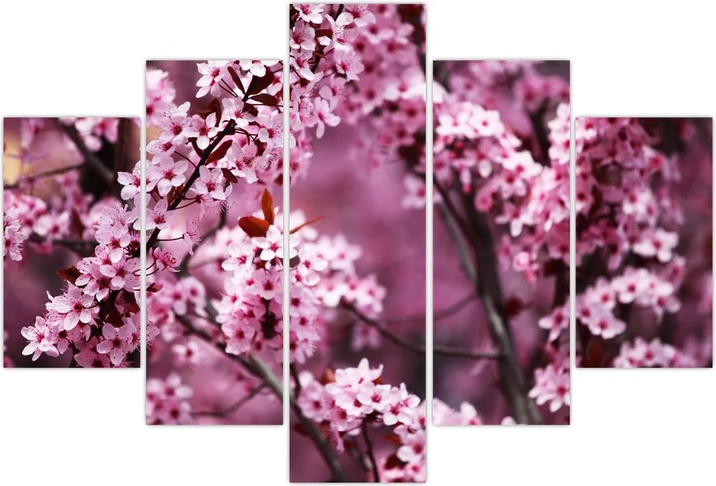 Tablou - Sakura roz (150x105 cm)