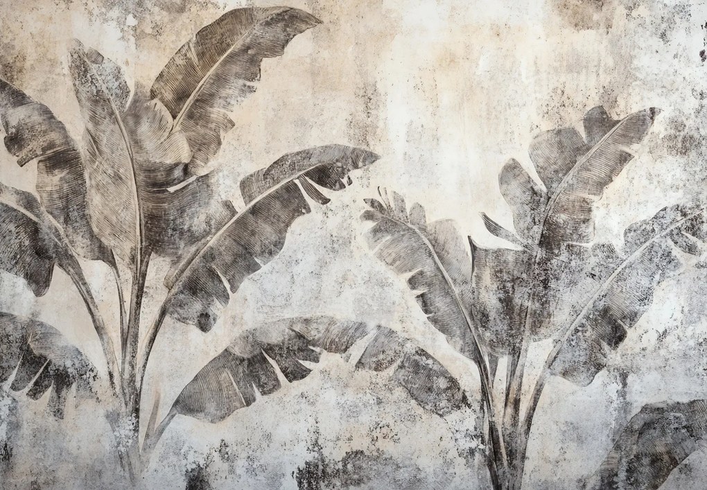 Fototapet - Bananier pe Perete (147x102 cm)