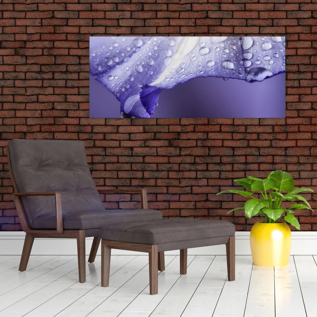 Tablou - Petală cu picături (120x50 cm)