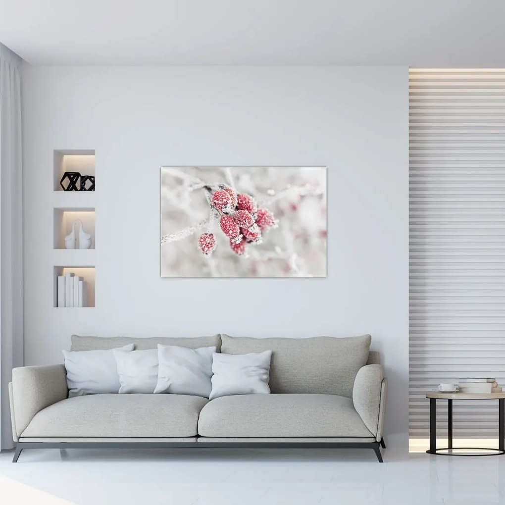 Tablou - Fructe congelate (90x60 cm)