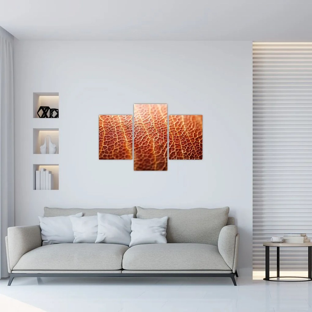 Tablou - Detaliu de textură (90x60 cm)