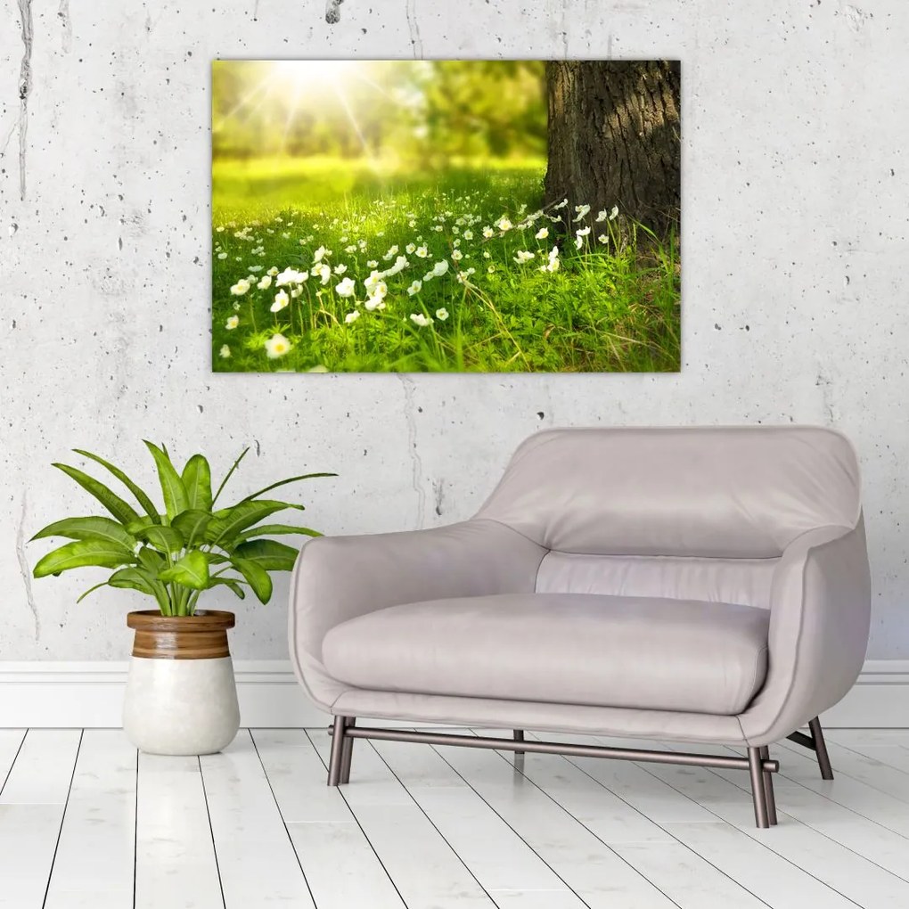 Tablou cu poiana și flori (90x60 cm)