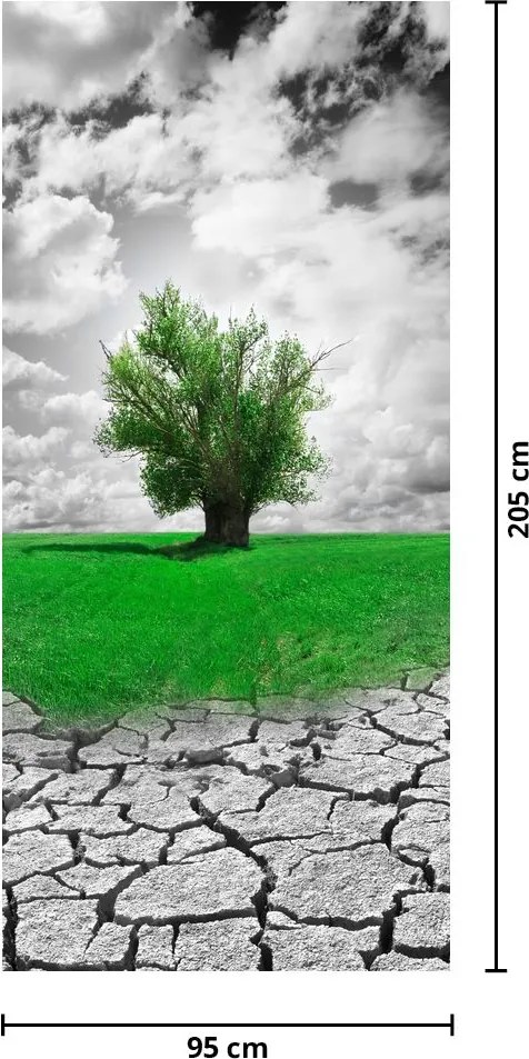 Fototapet pentru ușă - Natura în oraș (95x205cm)