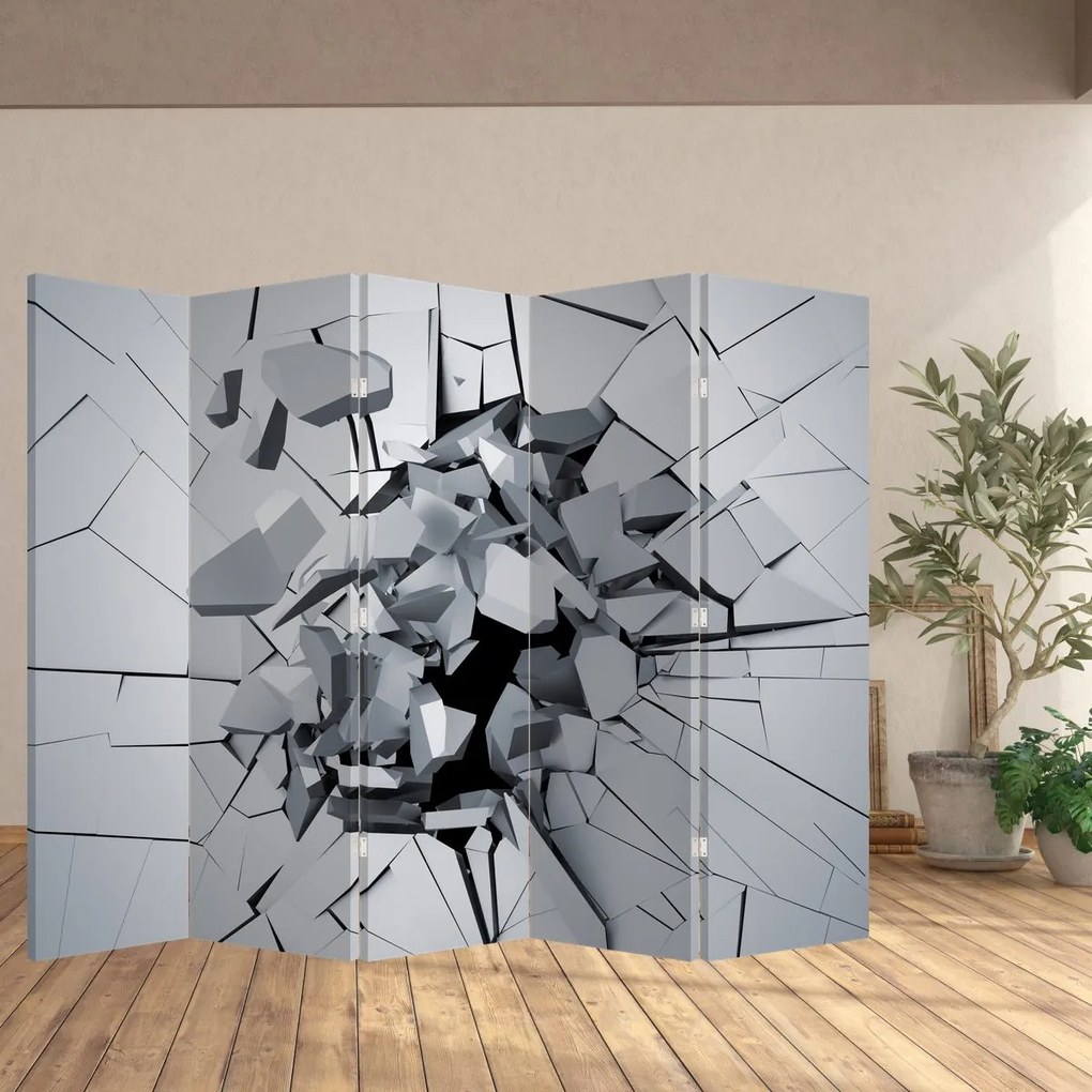 Paravan - Abstracție 3D (210x170 cm)