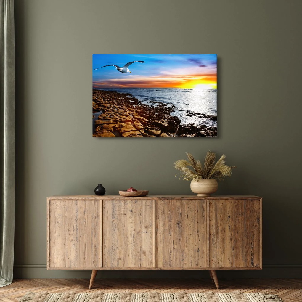 Tablou - Pescărușul zboară deasupra coastei (90x60 cm)