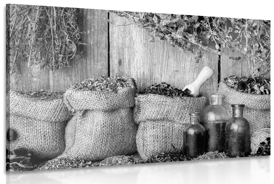 Tablou plante medicinale în design alb-negru