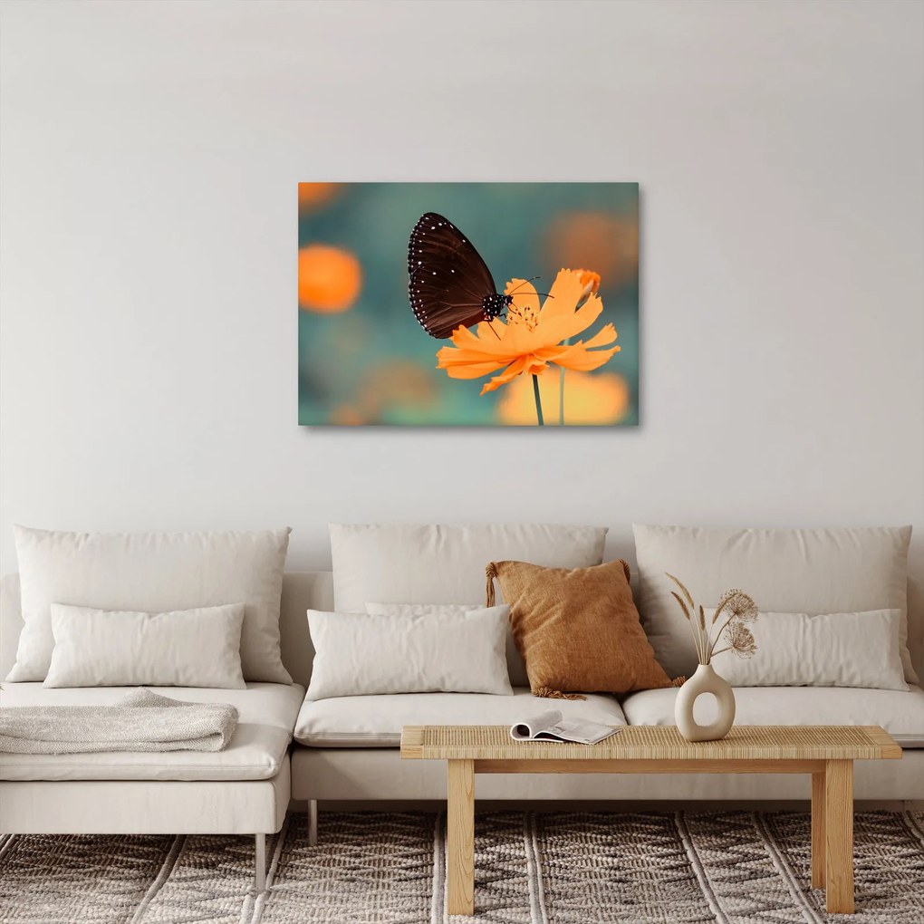 Tablou - fluture pe o floare portocalie (70x50 cm)