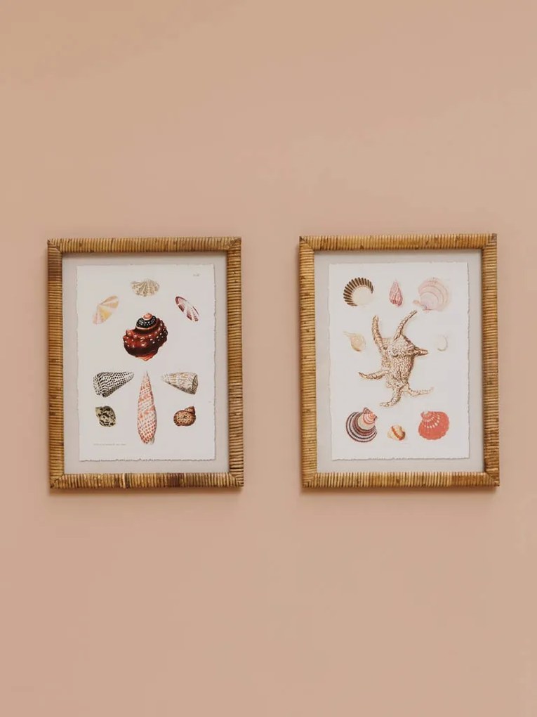 Set 2 tablouri, Shells