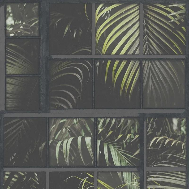 Tapet ferestre cu frunze de palmier