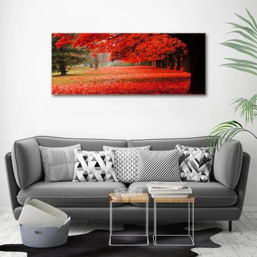 Tablou pe pânză canvas Copaci în toamna