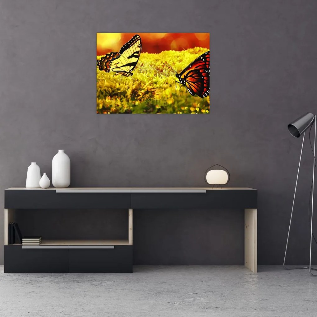 Tablou cu fluturi (70x50 cm)