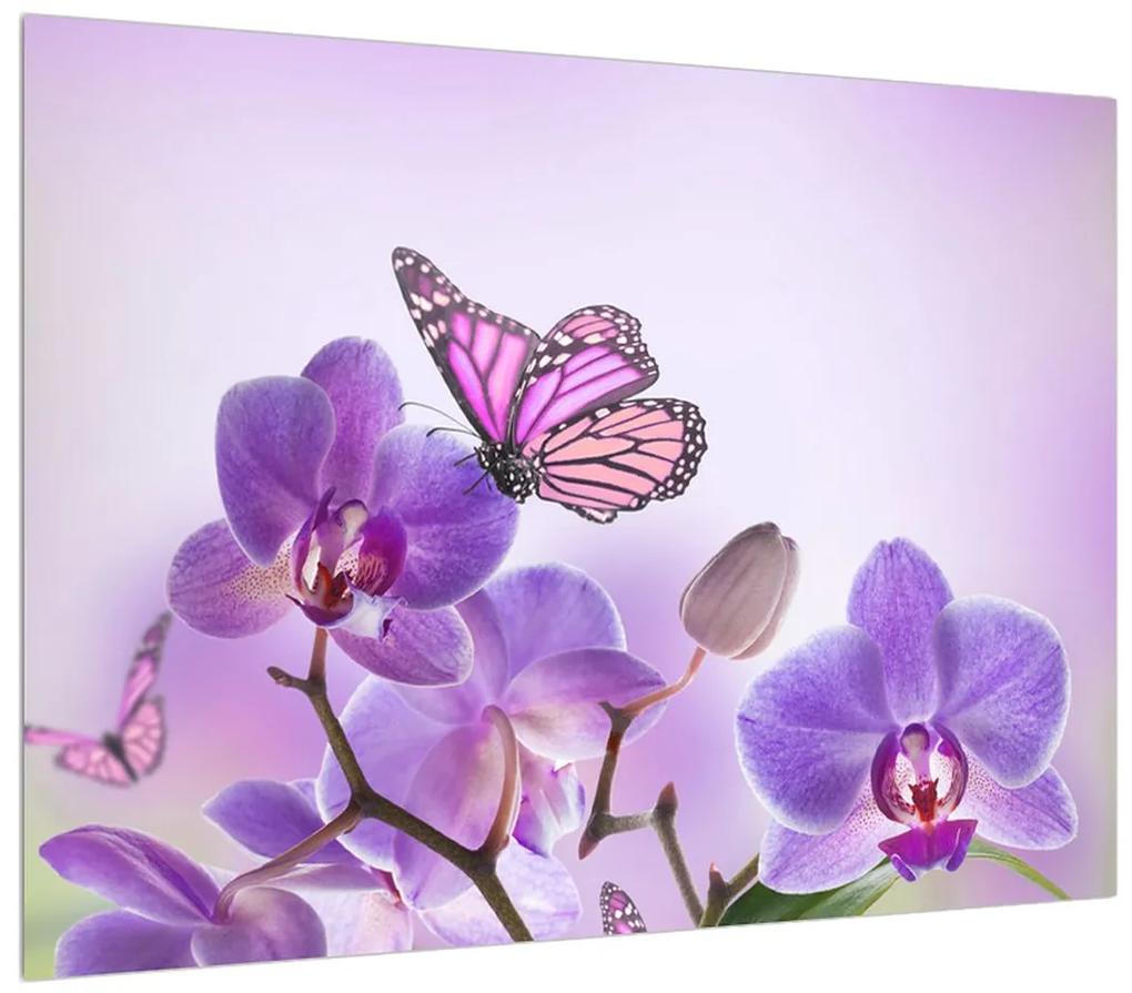 Tablou cu fluture pe floare de orhidee (70x50 cm), în 40 de alte dimensiuni noi
