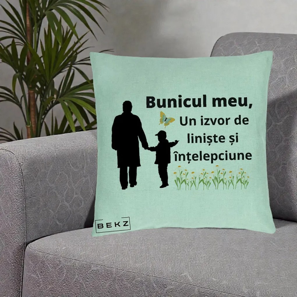 Cadou pentru Bunic - Perna Personalizata Bunicul Meu Izvor de Liniste cu Fluture si Baietel, 40x40 cm, Verde Menta, Husa Detasabila, Perna Inclusa, BEKZ®
