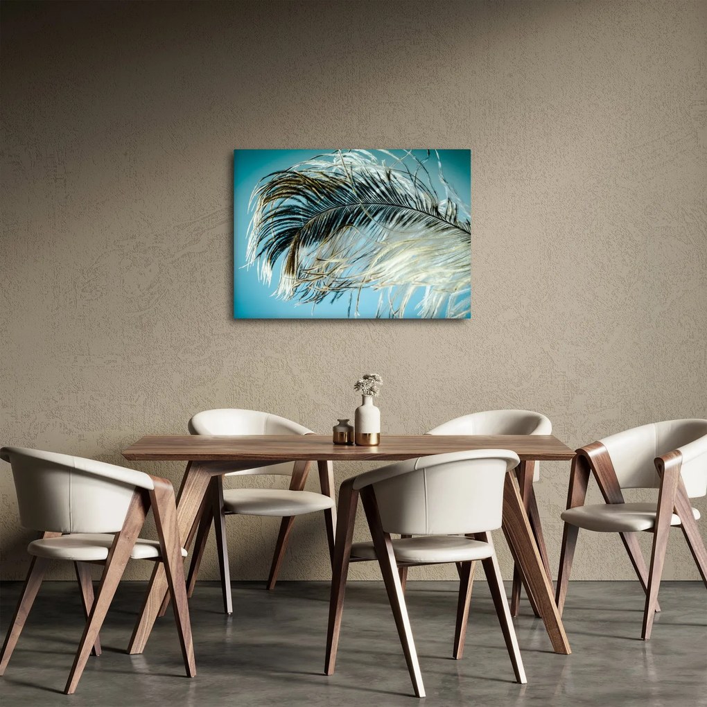 Tablou cu pană (70x50 cm)
