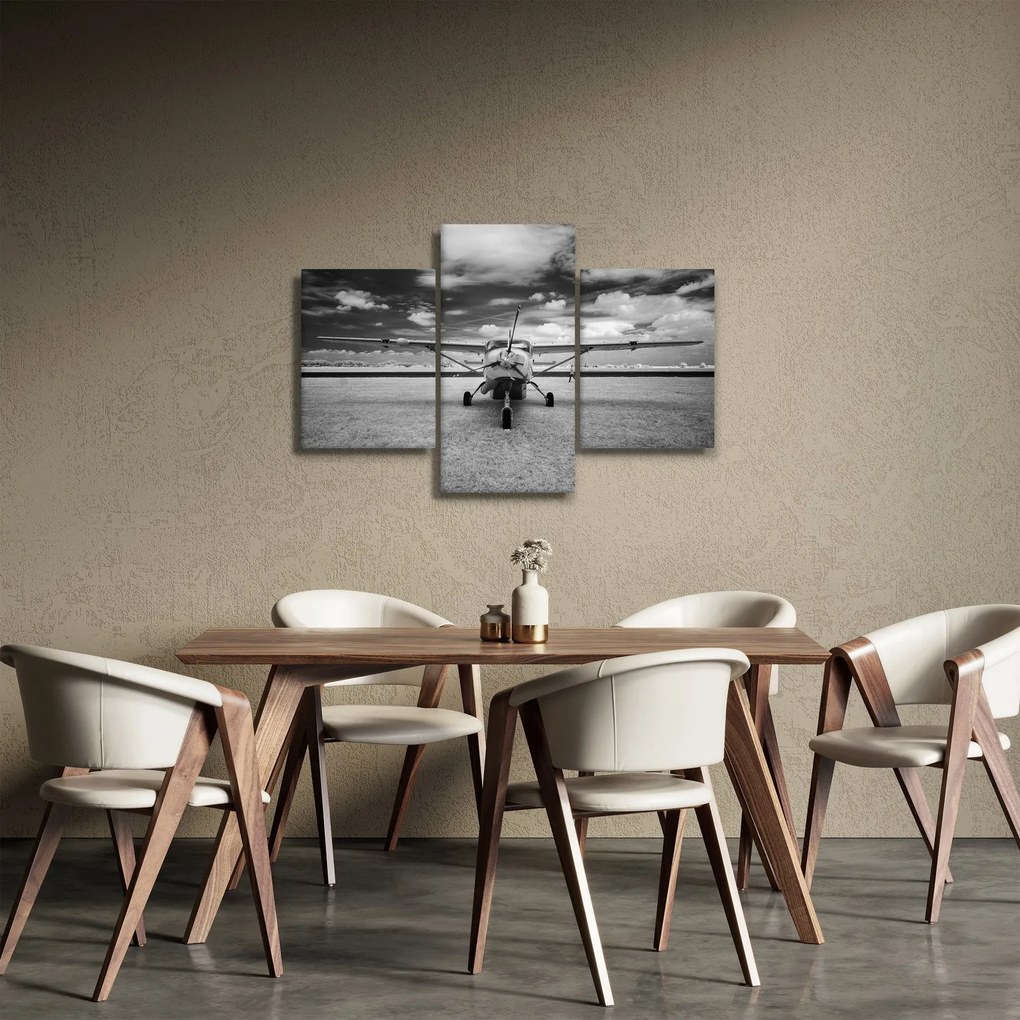 Tablou - Avion alb-negru și alb-negru (90x60 cm)