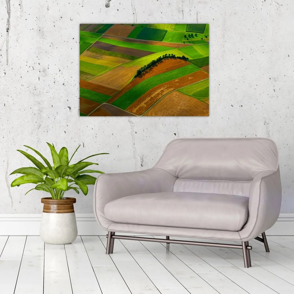 Tablou - Lan, luncile (70x50 cm)