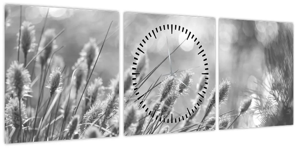Tablou - Iarbă moale bej N⁰1 (cu ceas) (90x30 cm)