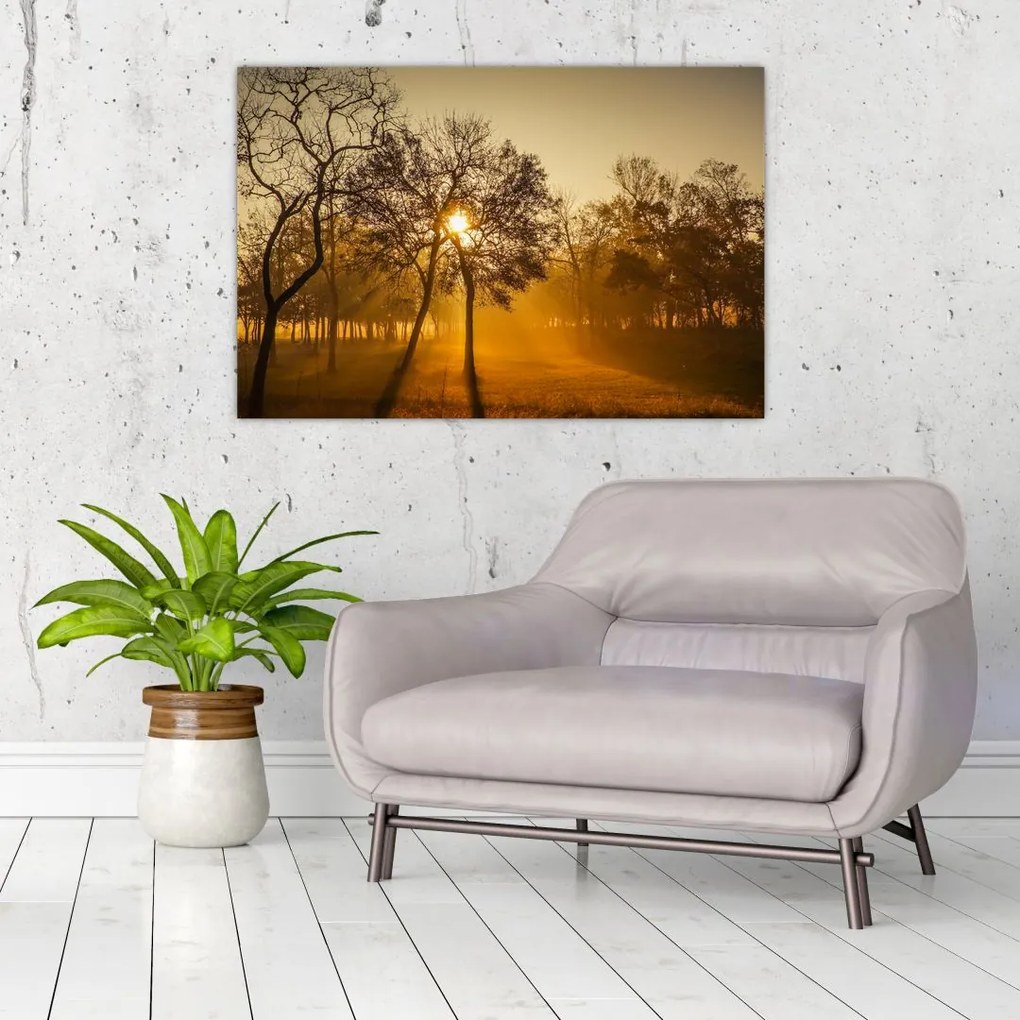 Tablou cu răsăsrit de soare (90x60 cm)