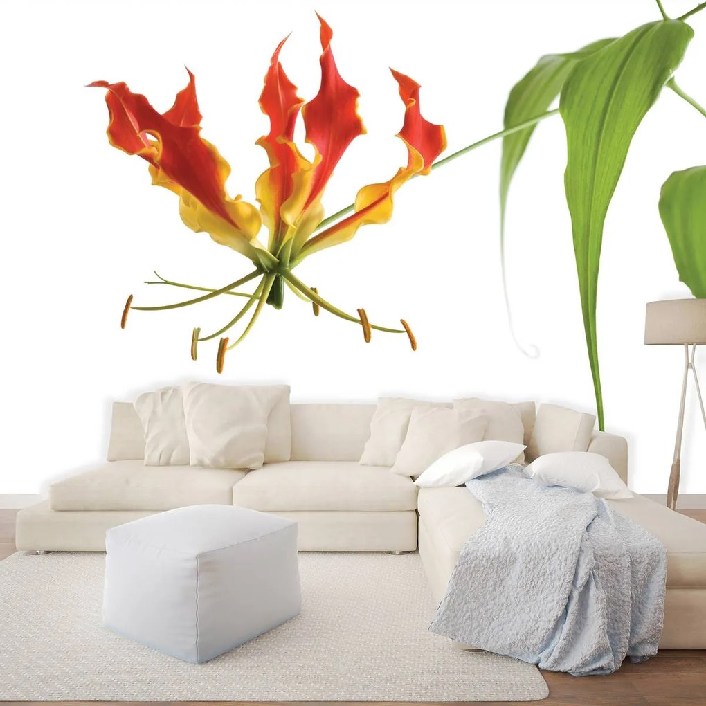 Fototapet - Flori (152,5x104 cm)