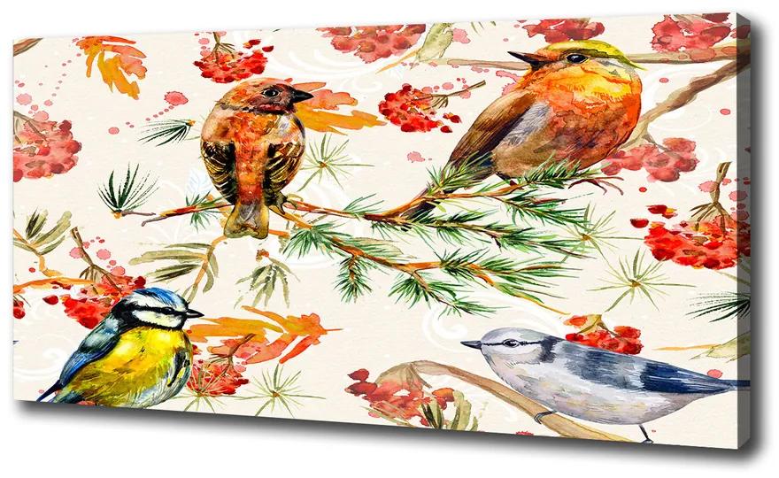Tablou pe pânză canvas Conifere și păsări