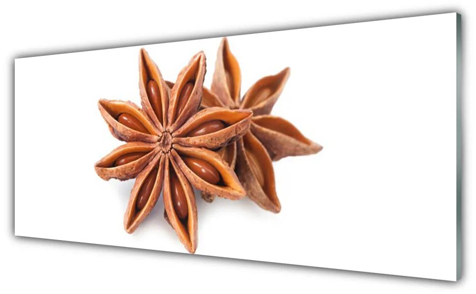 Tablouri acrilice Cinnamon Brown Floral