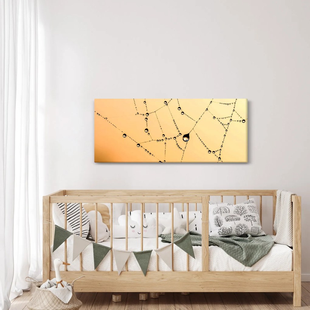 Tablou cu pânză de pâianjen cu rouă (120x50 cm)