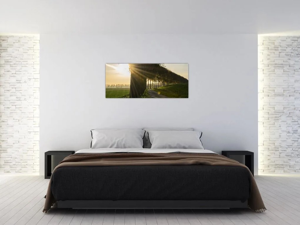 Tablou cu alee (120x50 cm)