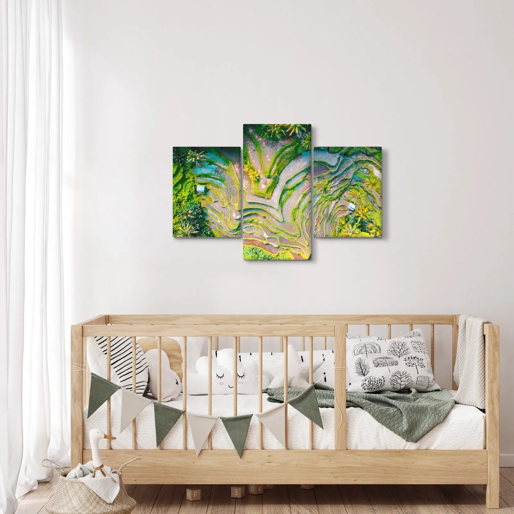 Tablou cu lanuri de orez din privire de sus (90x60 cm)