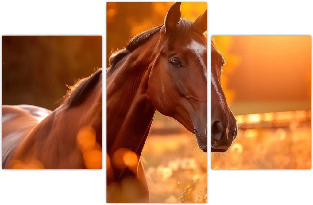 Tablou - Cal în apus de soare (90x60 cm)