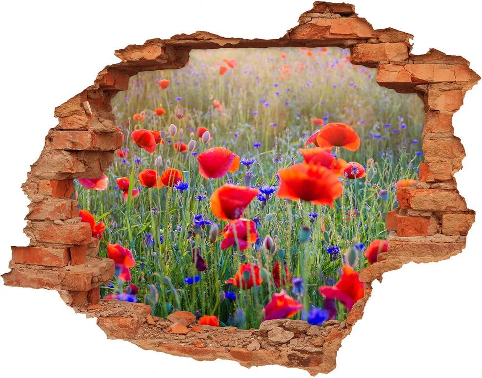 Autocolant 3D gaura cu priveliște Flori de câmp