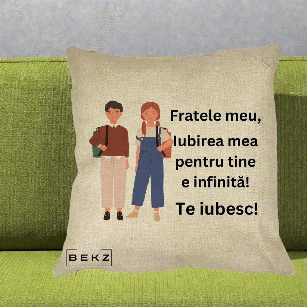 Cadou pentru Frate - Perna Personalizata Fratele Meu Te Iubesc Elevi Ilustratie Colorata, 40x40 cm, Crem, Husa Detasabila, Perna Inclusa, BEKZ®
