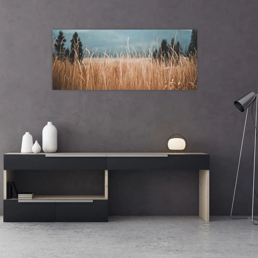 Tablou - detaliu spațiului de luncă (120x50 cm)