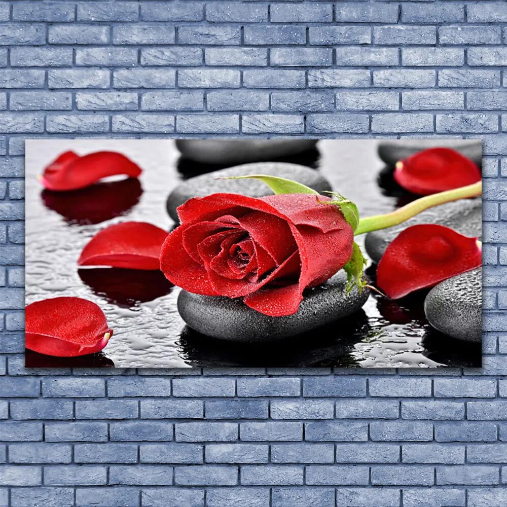 Tablouri acrilice Rose pietre Floral Roșu Gri