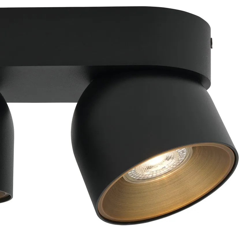 Spot aplicat tavan directionabil Pitcher 2L negru