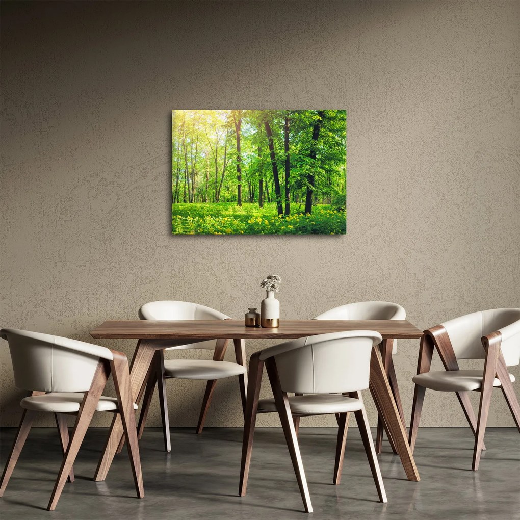 Tablou - Pădurea cu frunze de primăvară (70x50 cm)