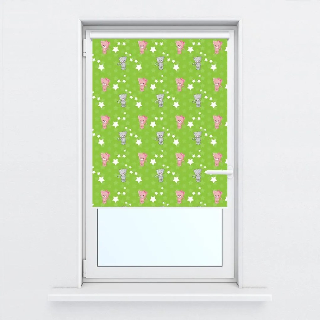Fotojaluzele R013911R57150 (57x150 cm)
