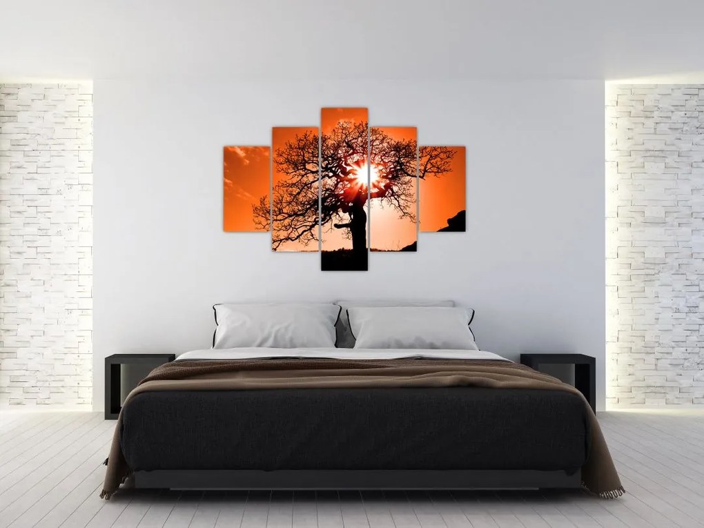 Tablou - Fag la apus de soare (150x105 cm)