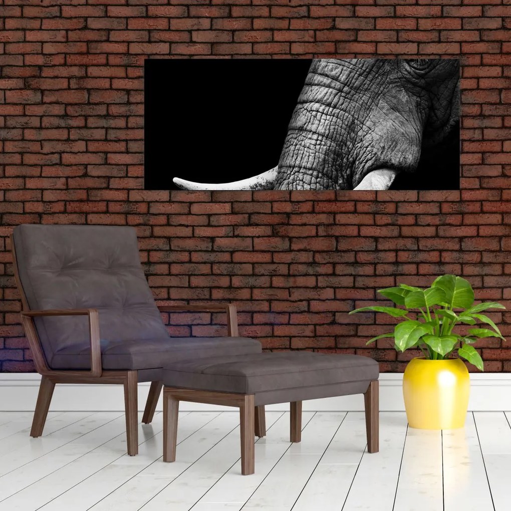 Tablou - Colți de elefant (120x50 cm)