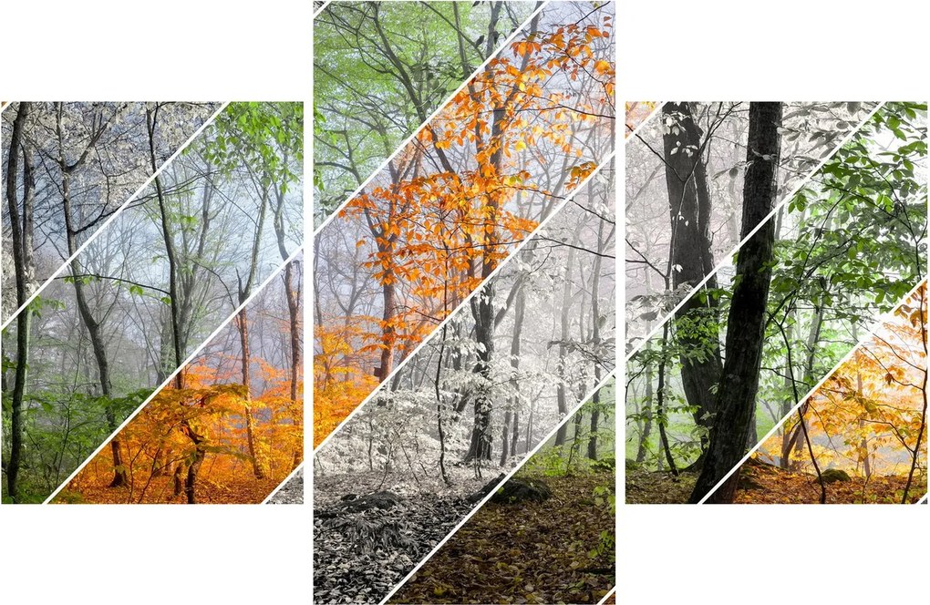 Tablou - Schimbarea anotimpurilor (90x60 cm)