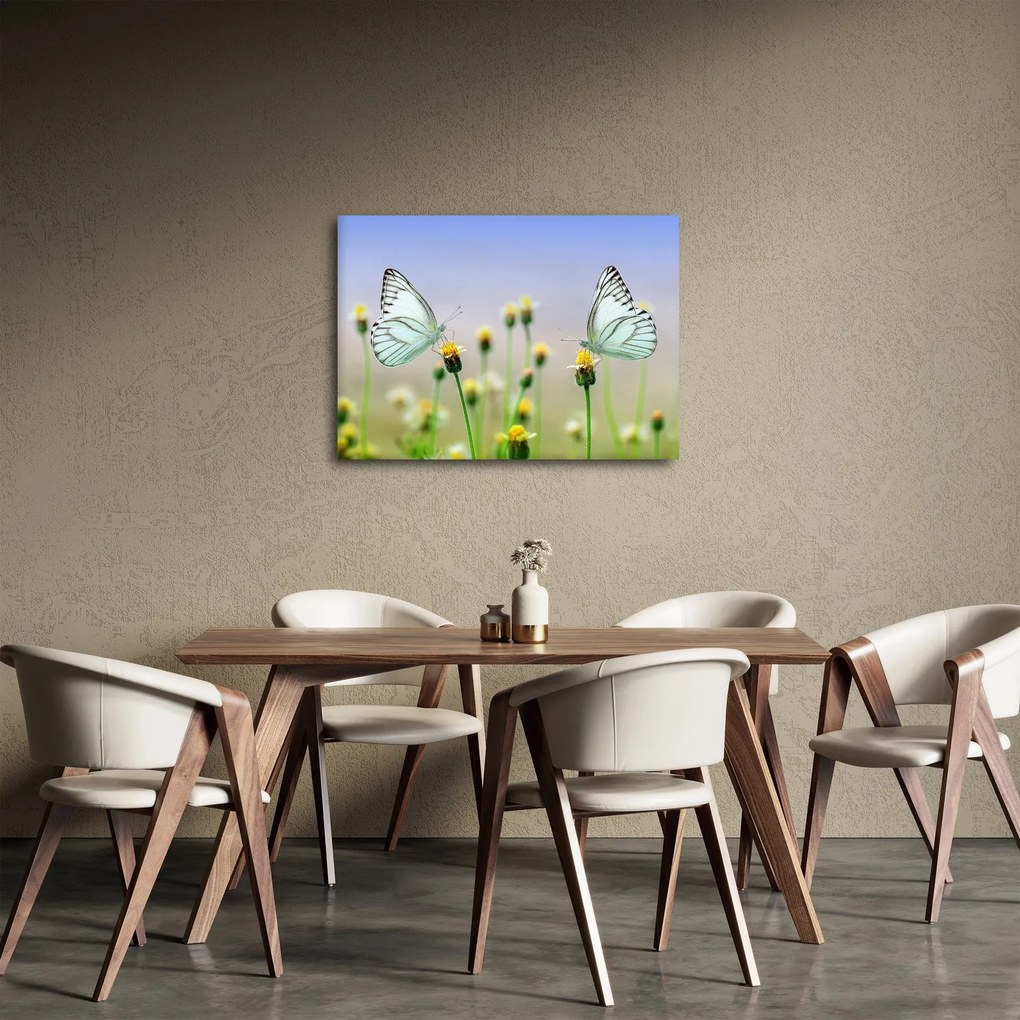 Tablou cu fluture pe floare (70x50 cm)