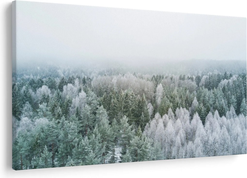 Tablou - Crestele munțillor înzăpezite (90x60 cm)