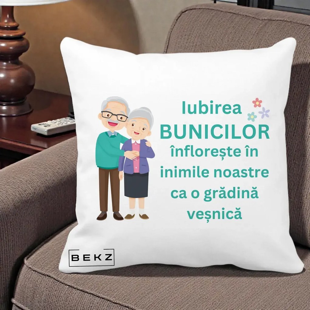 Cadou pentru Bunici - Perna Personalizata Bunicii Iubirea Infloreste Cuplu Senior Teal, 40x40 cm, Alba Mata, Husa Detasabila, Perna Inclusa, BEKZ®