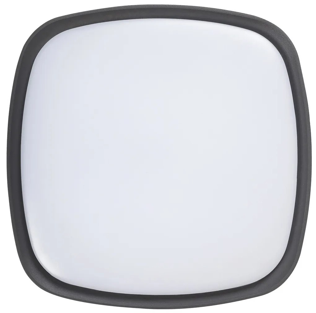 Aplica / Plafoniera pentru iluminat exterior IP65, Austin antracit 8797 RX
