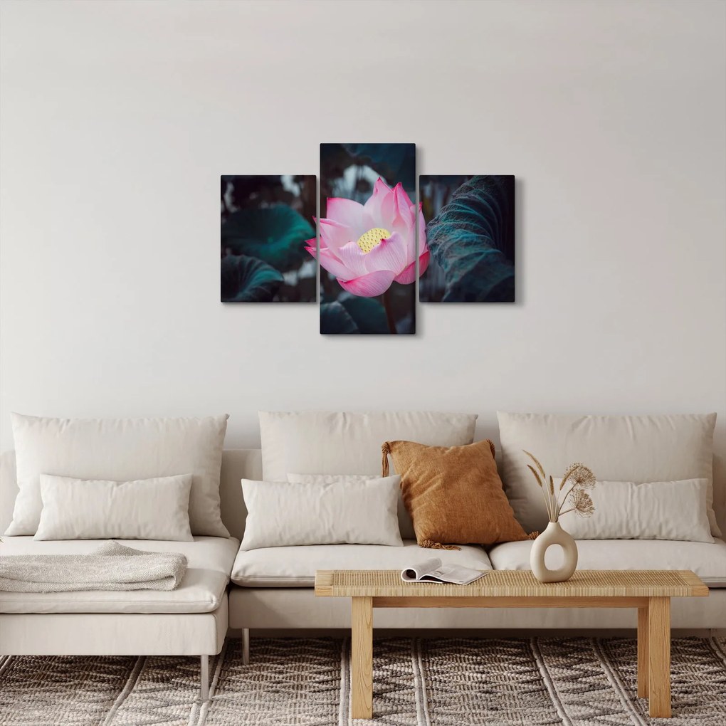 Tablou cu floare roz (90x60 cm)