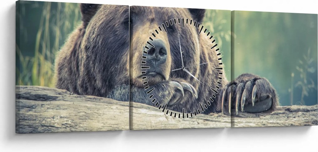Tablou cu urs (cu ceas) (90x30 cm)